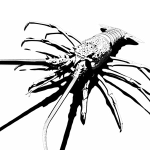Stylised black and white rendering in Lightwave 3D