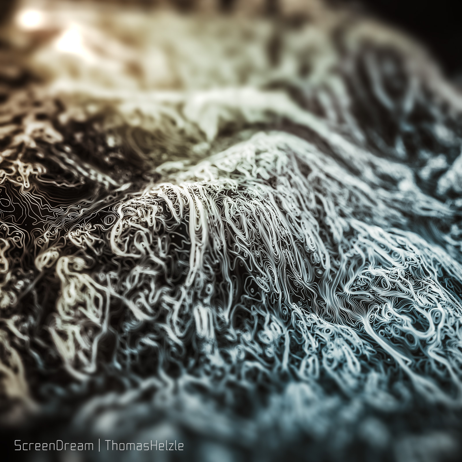A terrain of lines...