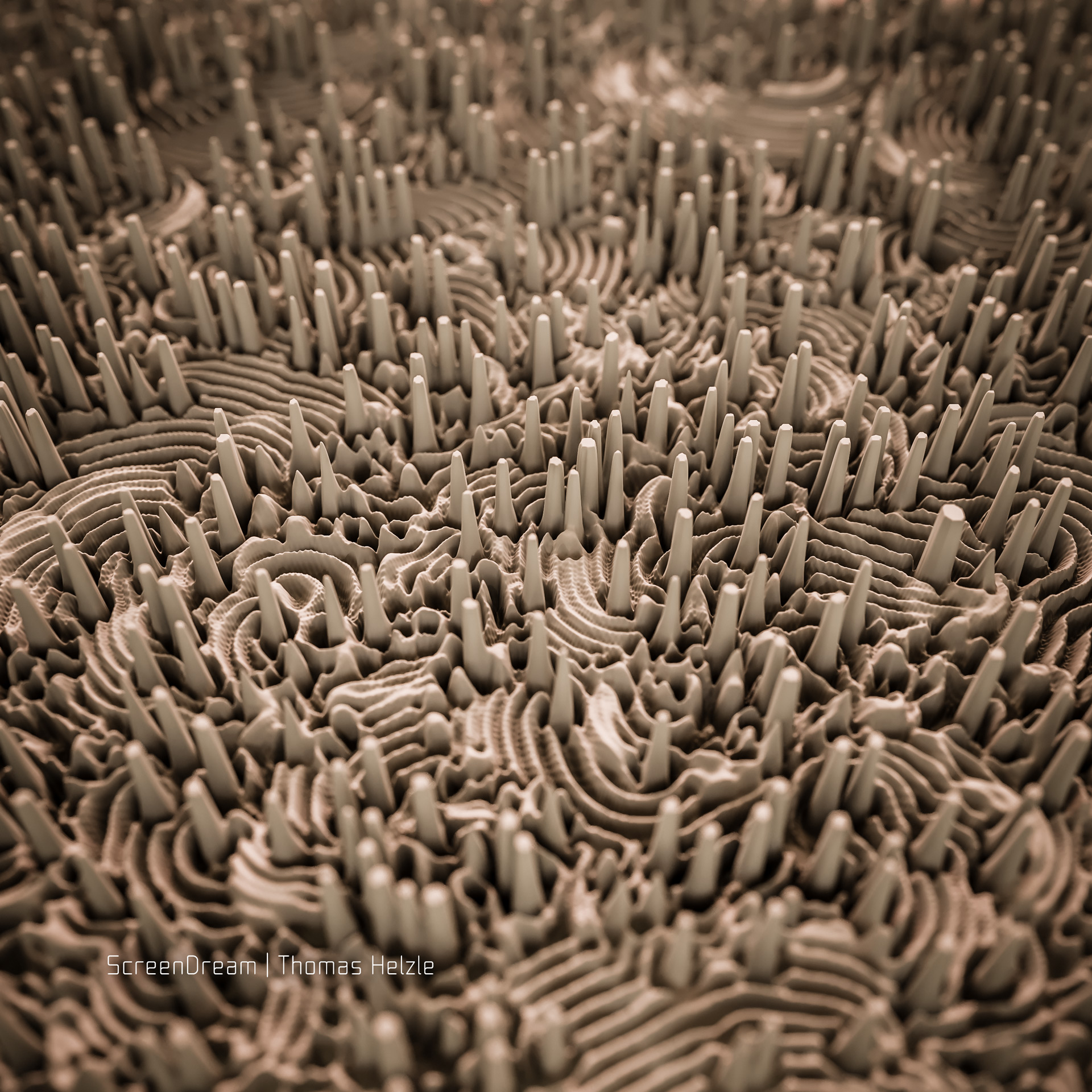 A reaction-diffusion pattern displaced...