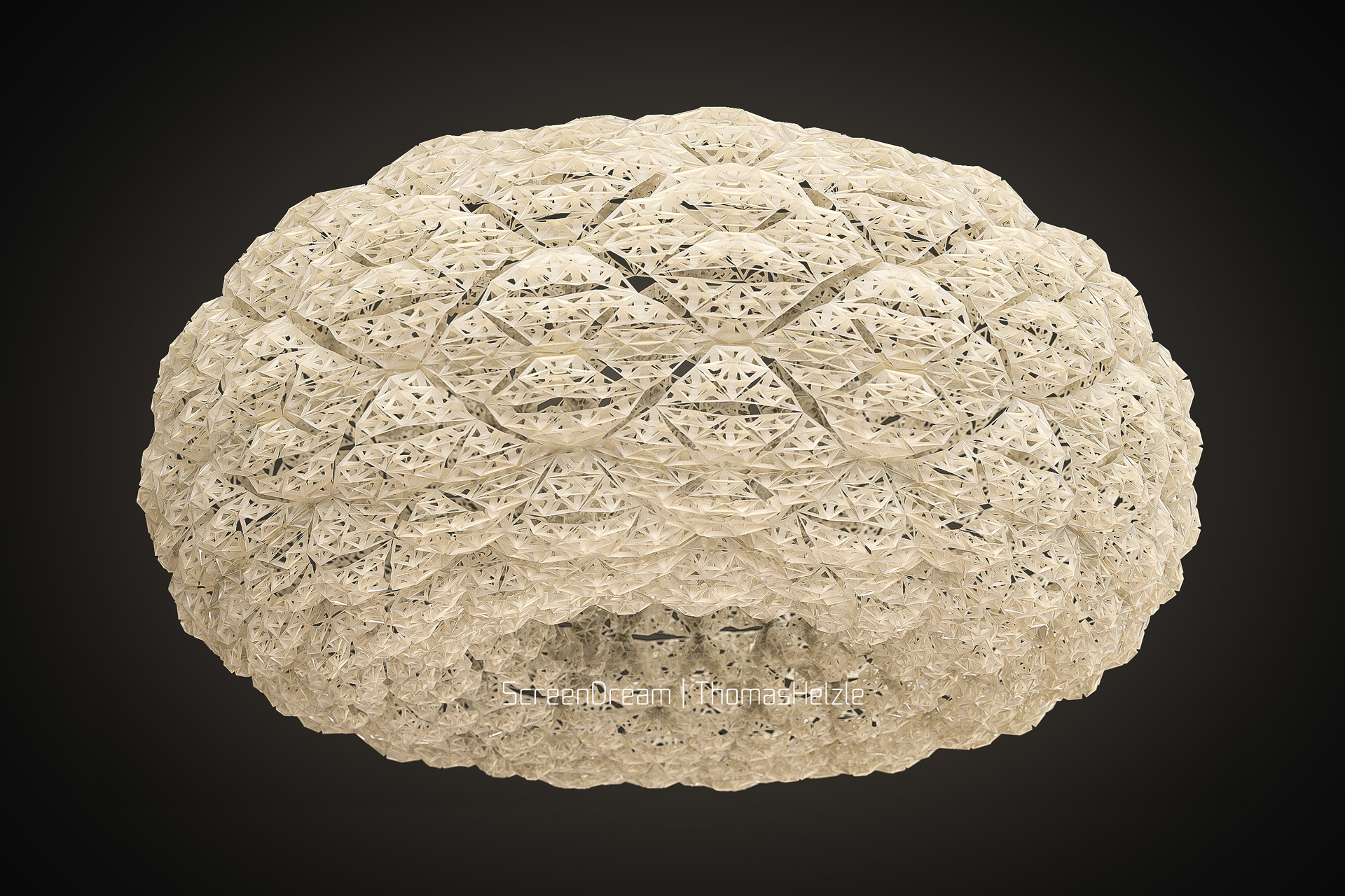 A fragile lamp cover...