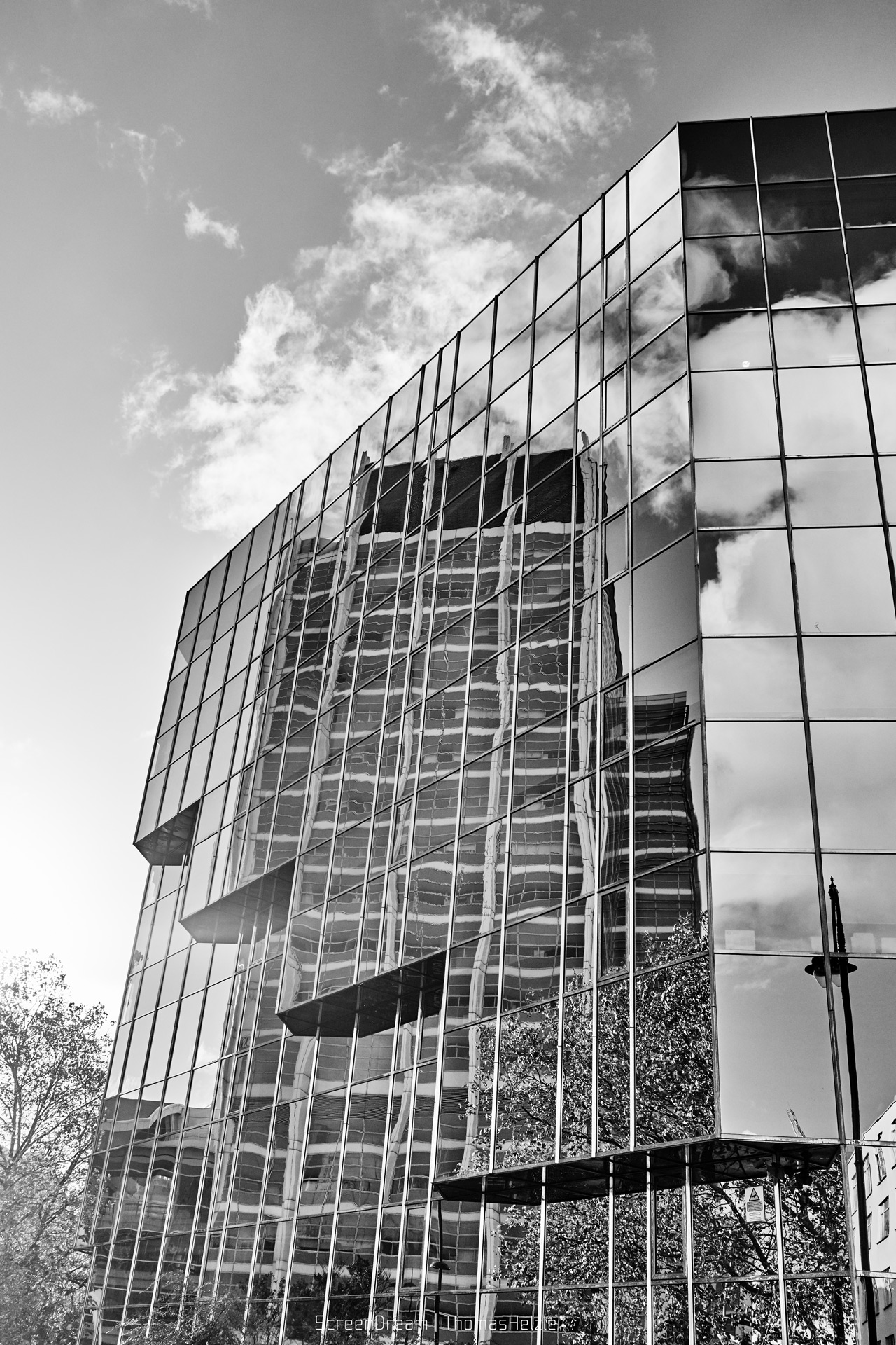 Windows in London