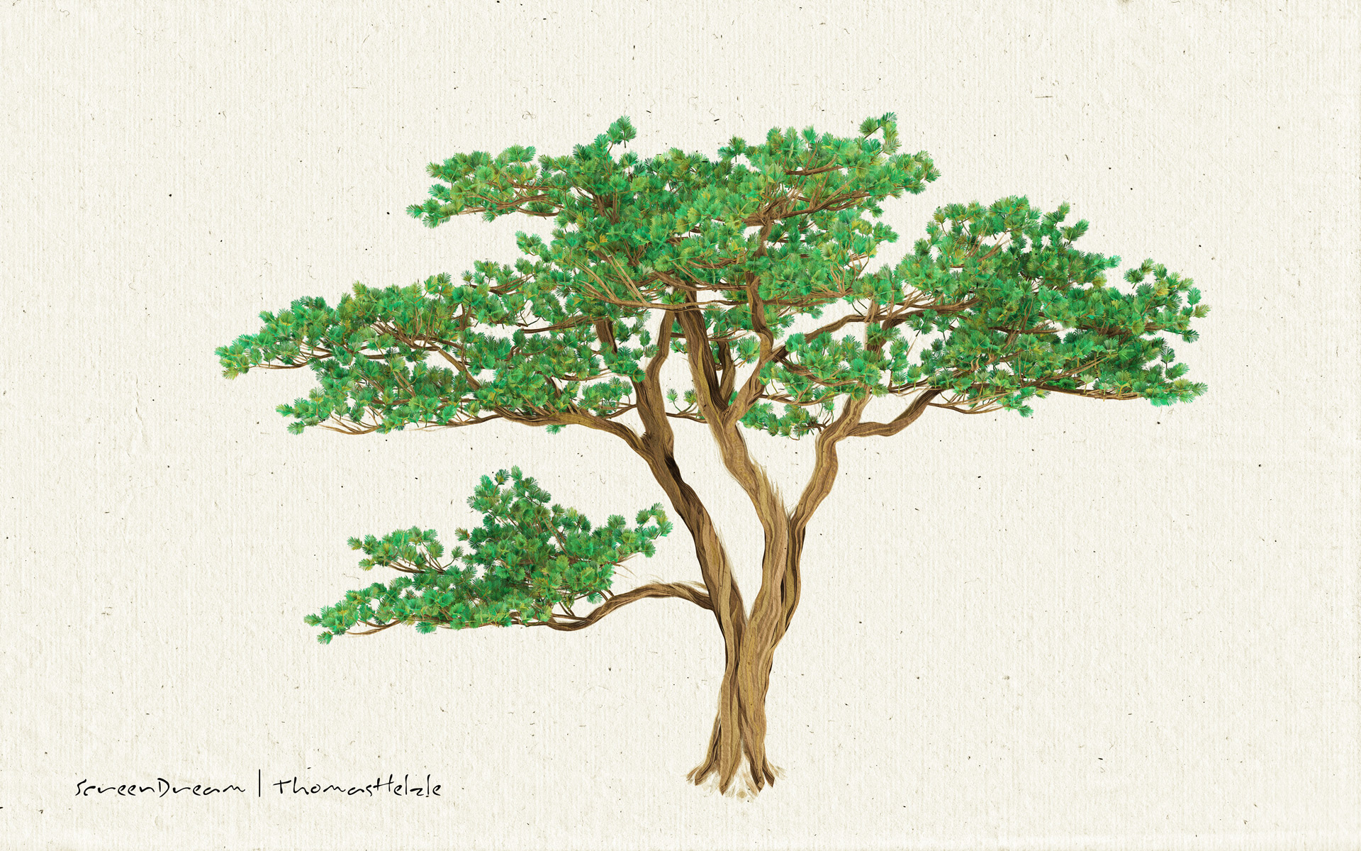 Stylised Tree in Houdini and Redshift